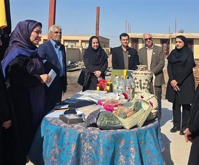 زنان روستایی وعشایری؛ از تسهیلگری در جنگ تا نقش‌آفرینی در توسعه پایدار