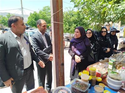 بازدید مدیر كل دفتر توسعه فعالیت‌های كشاورزی زنان روستایی از طرح‌های نوآورانه در ایلام