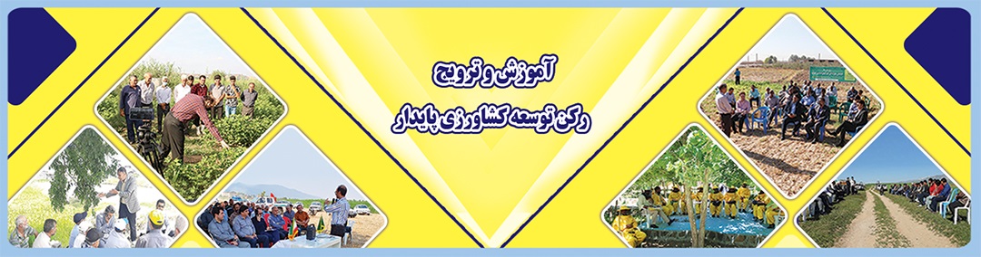 بنر سایت.jpg